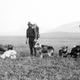 Illustration for article titled These Dogs are Honorary Geologists for Their Early Exploration of Alaska